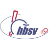 Logo HBSV 100p Kontakte