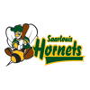 Saarlouis Hornets Logo2