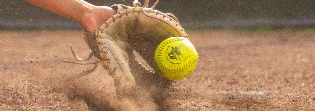 Neuer Online-Auftritt für die Softball-Bundesliga