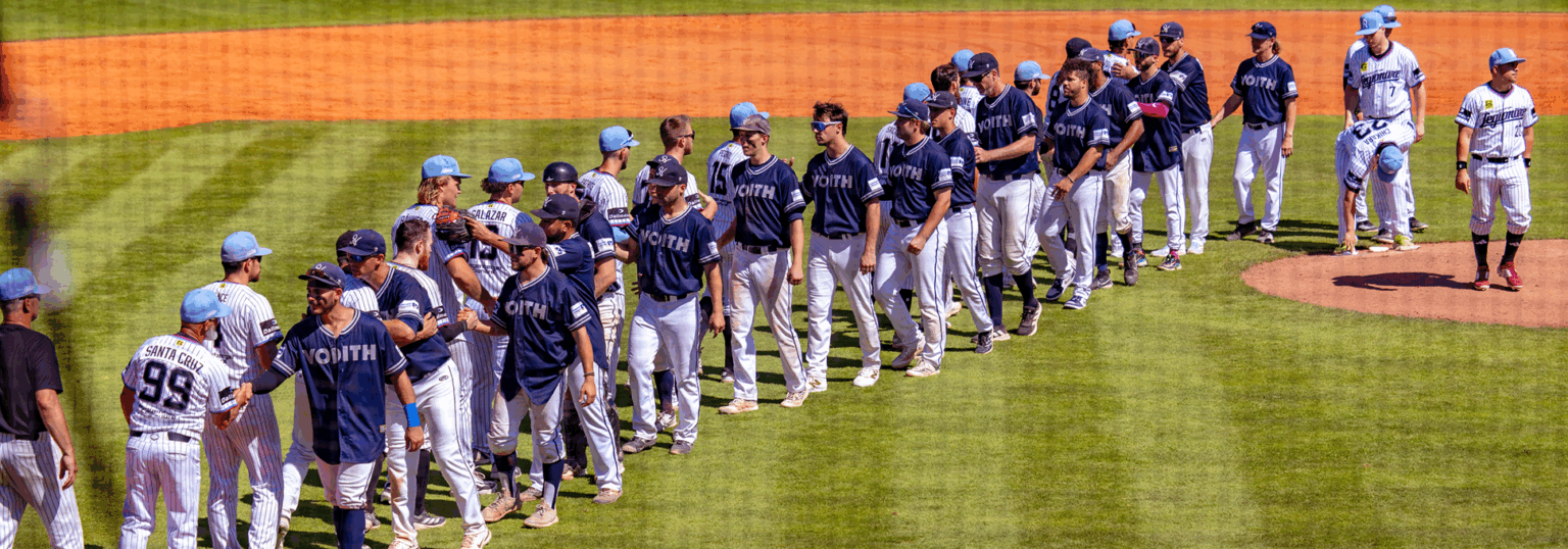 Deutsche Baseball Liga (DBL): Der 12. Spieltag im Überblick