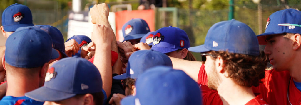 Deutsche Baseball Liga (DBL): Bonn und Hamburg sicher in den Playoffs