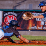 DBL Finale 2025: Regensburg und Heidenheim kämpfen um Deutschlands Baseball-Krone