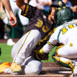 DBL Playoffs: Bonn und Regensburg stehen im Finale um die Deutsche Baseball Meisterschaft 2026