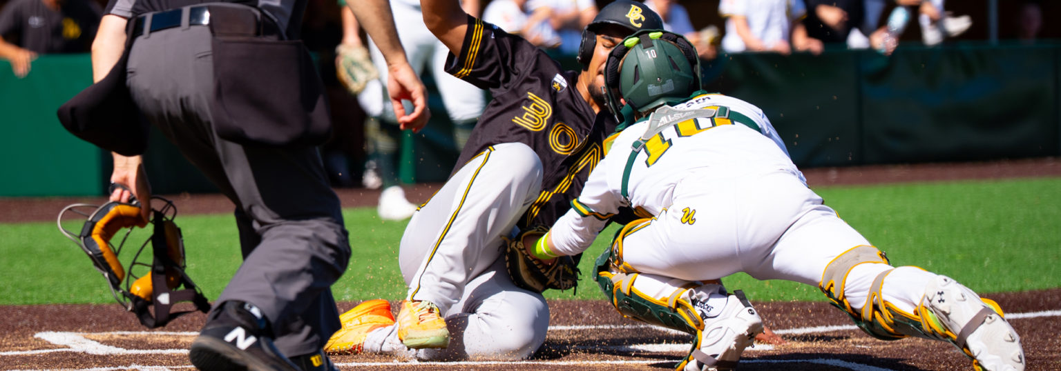 DBL Playoffs: Bonn und Regensburg stehen im Finale um die Deutsche Baseball Meisterschaft 2026